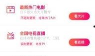 伦理电影在线观看网址聚合,精选在线观看网址大盘点